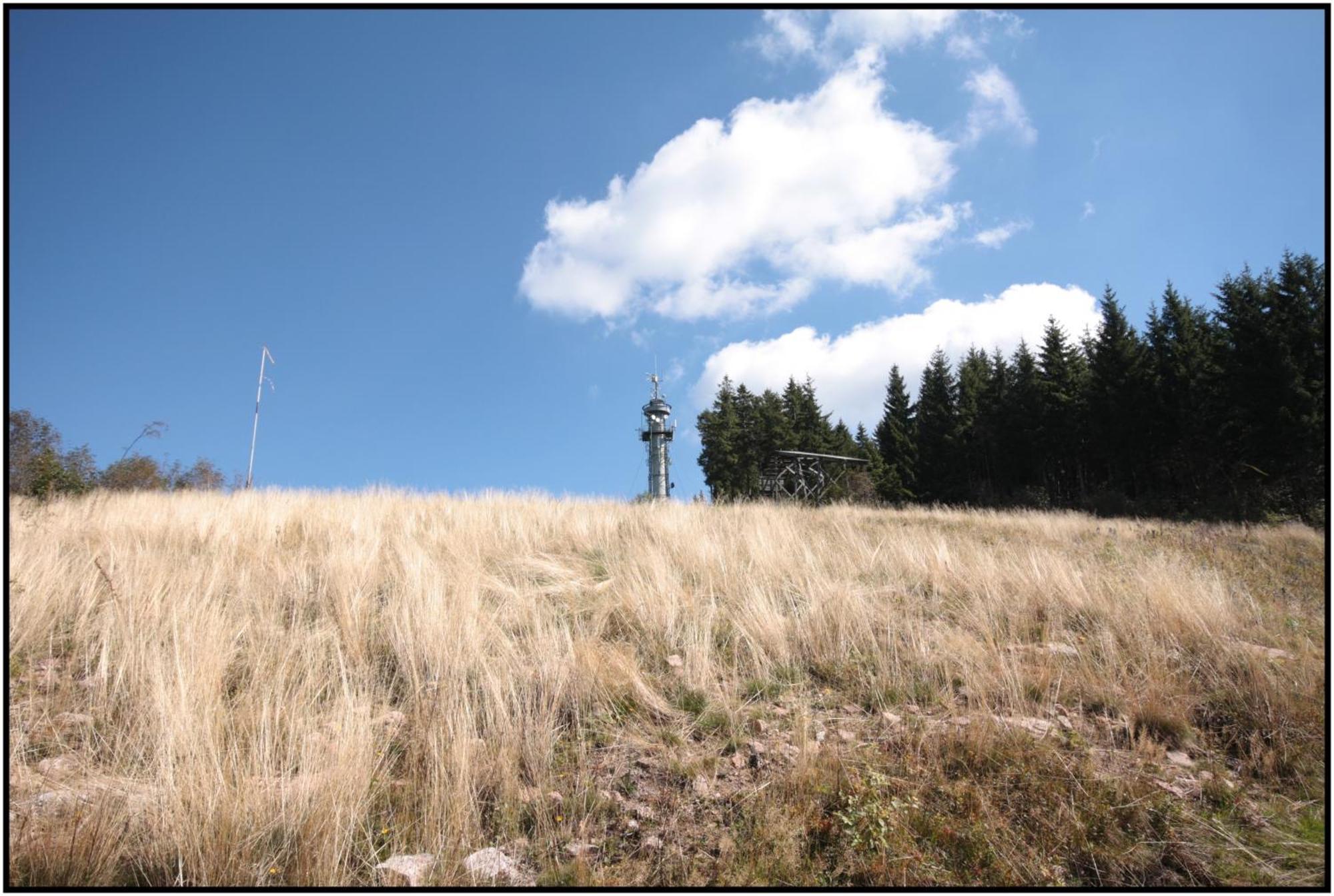 Pop-Up Stuub Feldberg Hotel Feldberg  Bagian luar foto