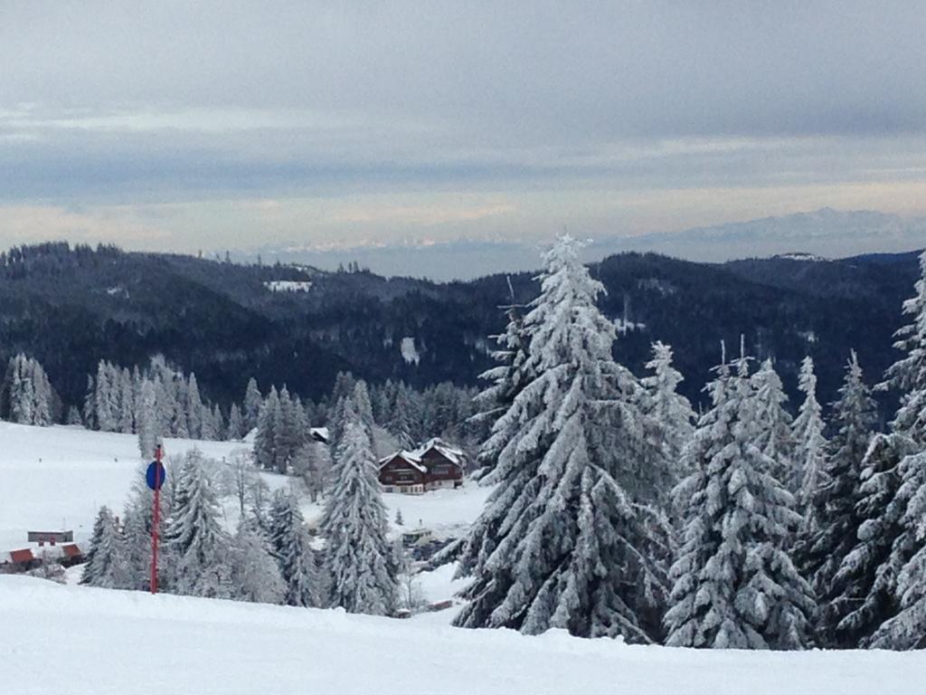 Pop-Up Stuub Feldberg Hotel Feldberg  Bagian luar foto